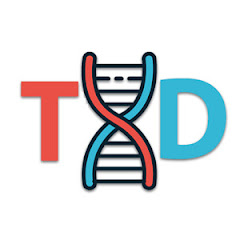 Trader DNA net worth