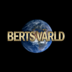 Berts Värld Avatar