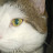 @stevestenstrom9423 Avatar