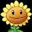 @Sunflower-db8rq