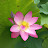 @user-ky7rv3nq9l