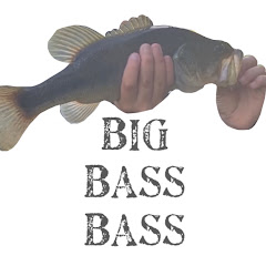 Big Bass Bass