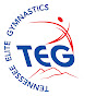 Tennessee Elite Gymnastics logo