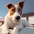 @jackmears6411's avatar