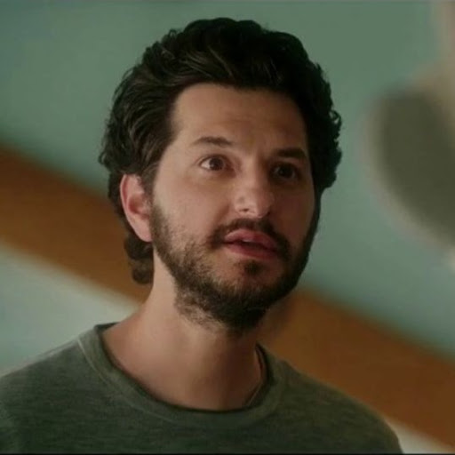 Ben Schwartz's Life Coach