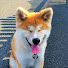 Tkblx6fEpcM-channel-avatar-Akita Yuki