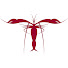 3WNkQxHXnUI-channel-avatar-LobsterExperience