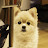 @ljw_win