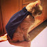 0RwdPIG8SQk-channel-avatar-Bullet CG