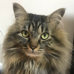 宇宙のリズムを読もうin進化占星塾on不思議な話アイコン画像