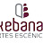 IKEBANAH ARTES ESCÉNICAS