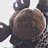 @HandsomeMoose Avatar