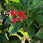 @blablabling2 Avatar