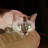 @Purrdy's avatar