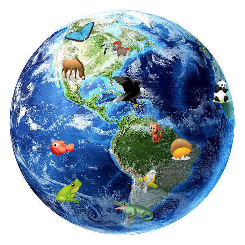 One Great World