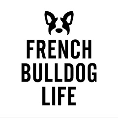 French Bulldog Life（フレンチブルドッグライフ）アイコン画像