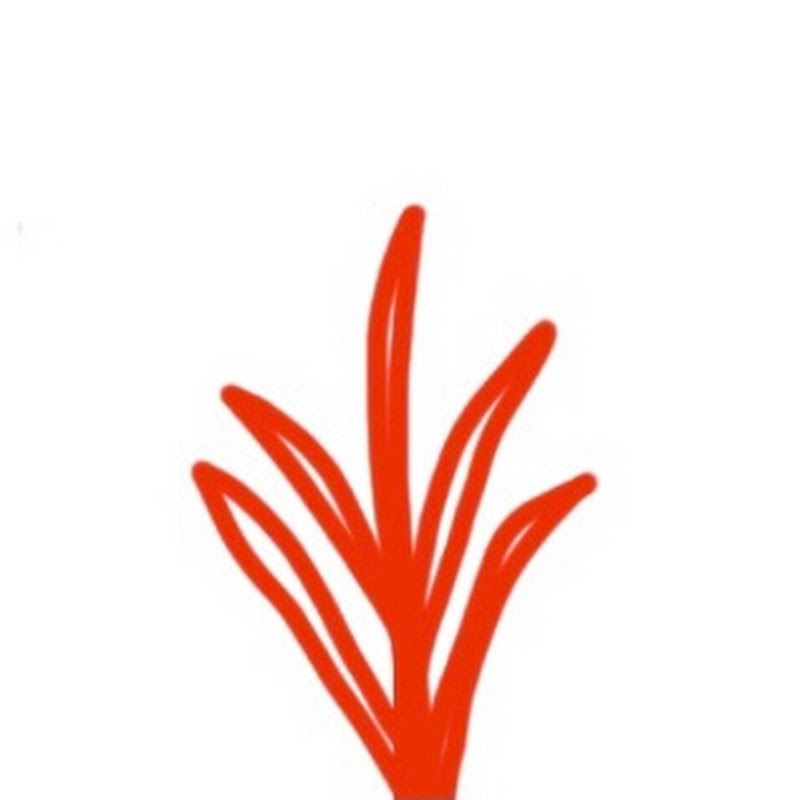 Nutrition Branched