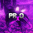 7bSPxxlGQG4-channel-avatar-Prxo