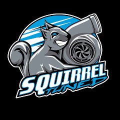 Логотип каналу Squirrel Tuned