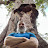 @RustyTreeMan Avatar