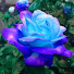 0B9VkyPPBnY-channel-avatar-Midnight Madness_06
