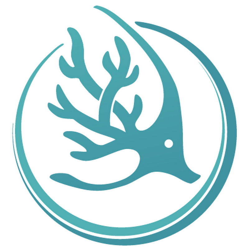 Reef Life Foundation