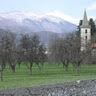 Автор