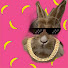 HIV8KnGzyQE-channel-avatar-柏林朱老板