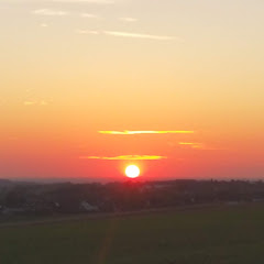 Semmel Bayern