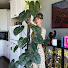 n4K1c9Ka_9c-channel-avatar-wildfern