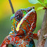 FrnpsZ8Z6Ho-channel-avatar-Connor Long