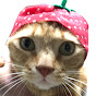 ボスねこ ロワやん