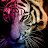 @robwelsh5070 Avatar