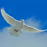 G3Tamd9cnjc-channel-avatar-harmony14447