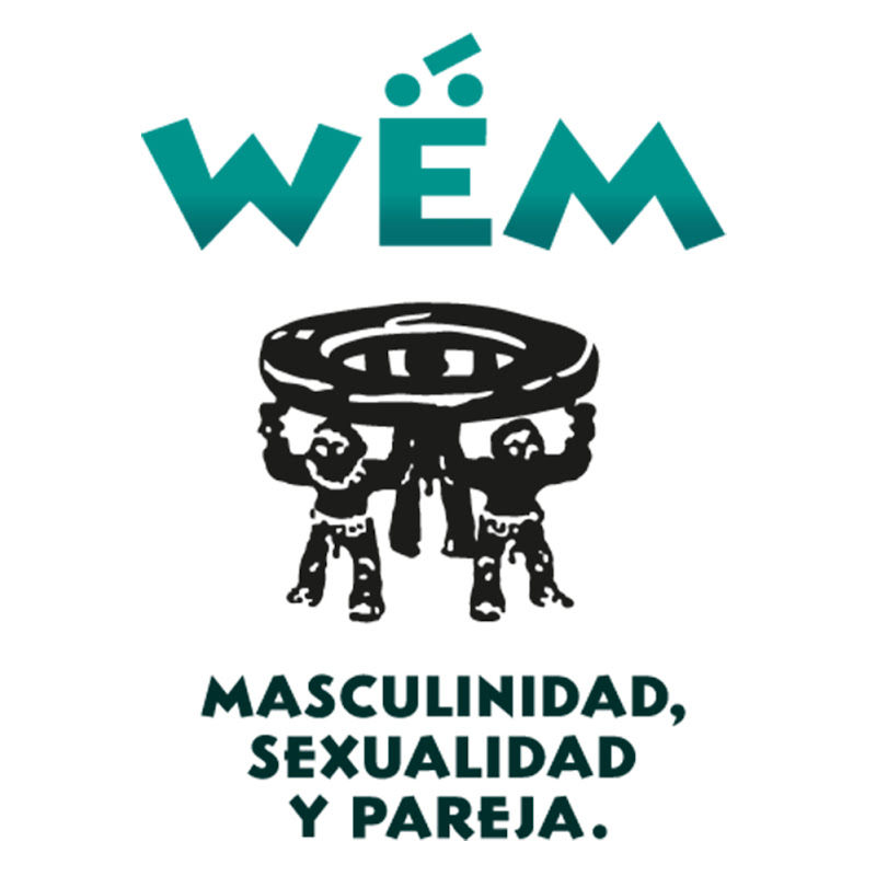 Instituto Wem icon