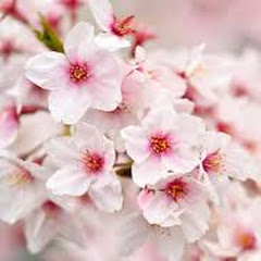 斎藤一人さんから学ぶ