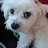 @user-xz5pz4me1x