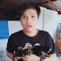 vm8aaL8jrFs-channel-avatar-PRIMKUNG