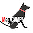 Glj_kWBn3zQ-channel-avatar-Meg CAMP!