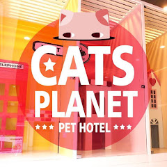 貓咪住宿旅館貓星球