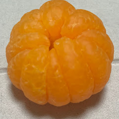 ピカピカに磨いたミカンアイコン画像