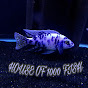 House Of 1000 Fish logo