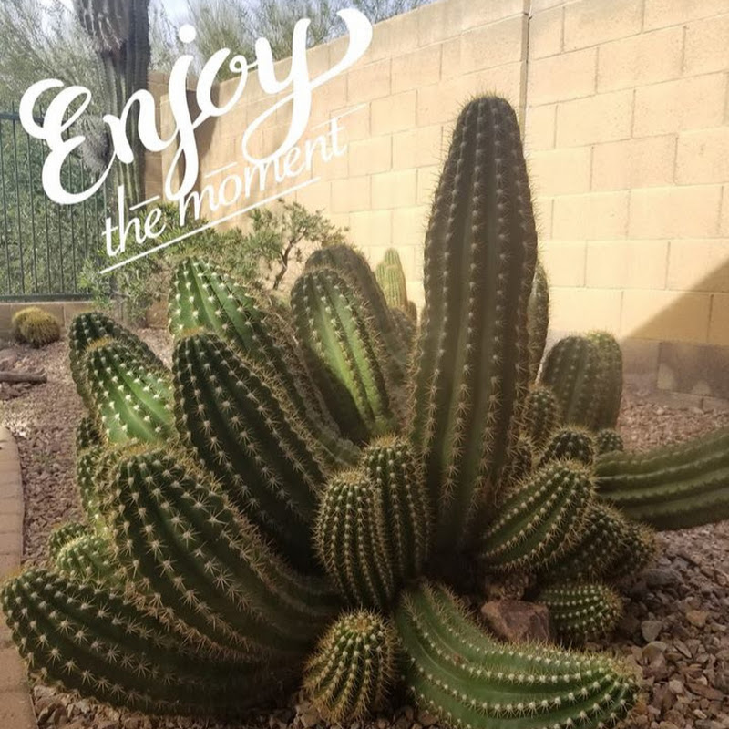 Living Arizona