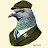 Delhi pigeon Lover