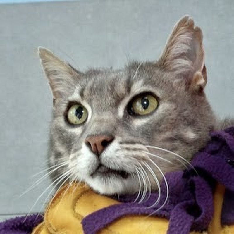 John “DJ ONE” Beake