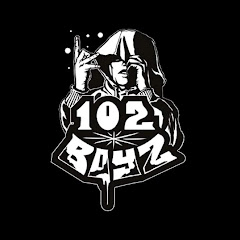 Live Konzerte von 102 BOYZ