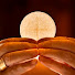 H0vgD3YRxmc-channel-avatar-Immaculate Conception / Saint Luke Church