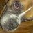 @screwmerunnin's avatar