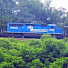 ImXHfmS4UC0-channel-avatar-SJRailroader31