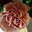 @user-ky1dp1nm9y